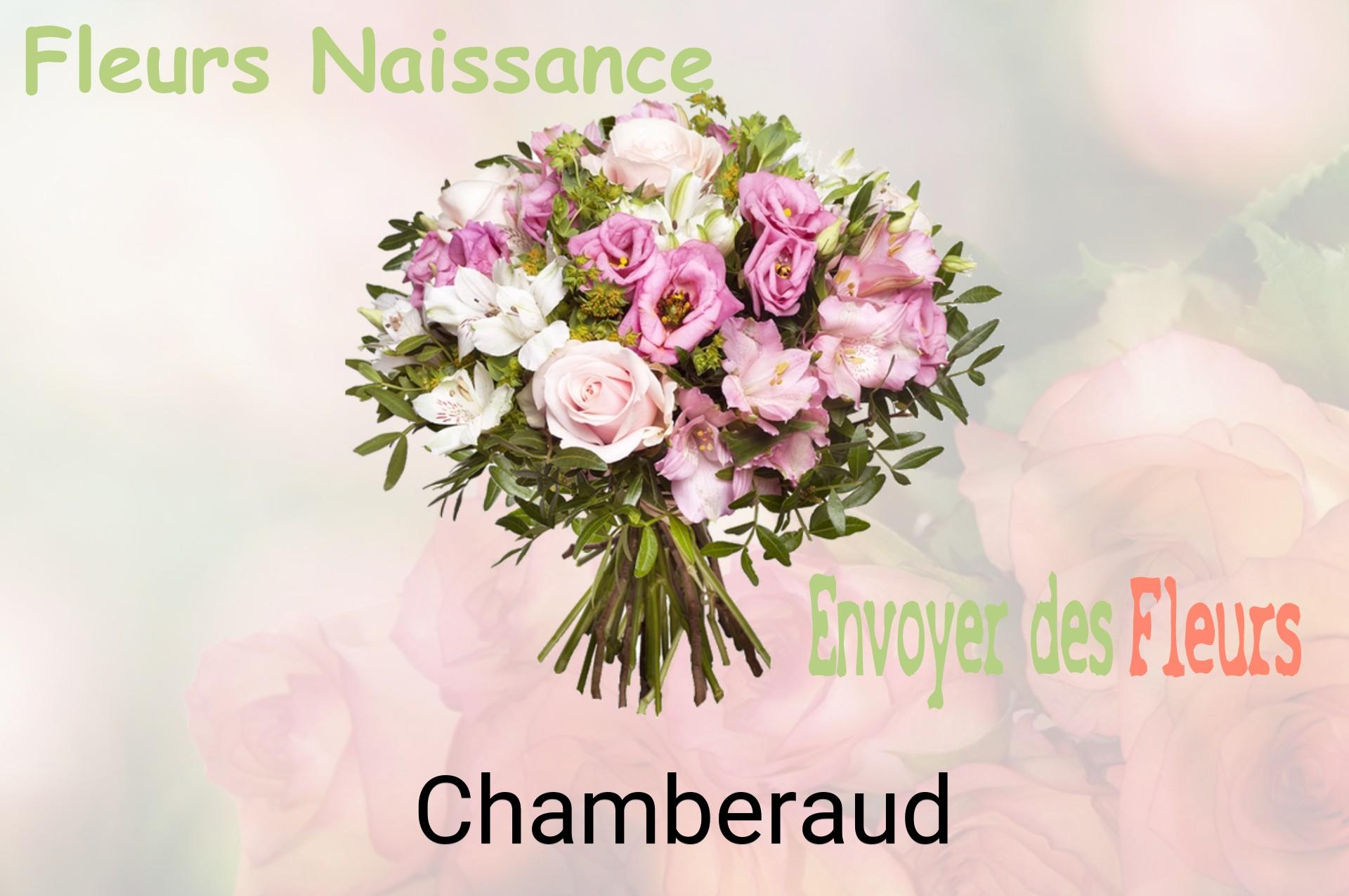 Bouquet de fleurs de naissance livré à Chamberaud
